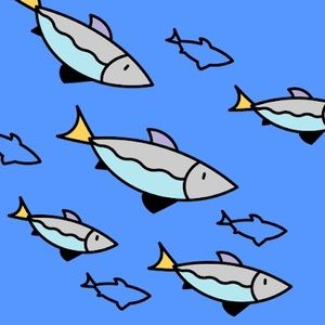 Meet your Posher, Victor mn v